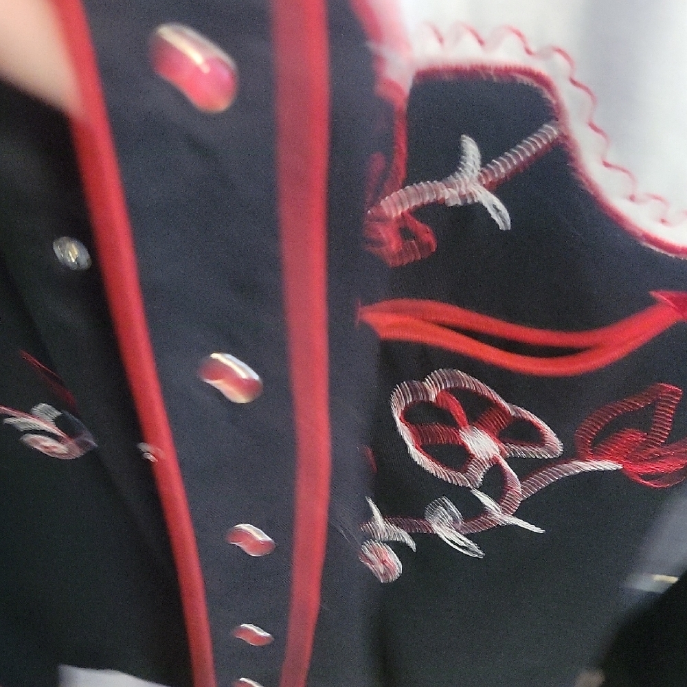 Roper Black Western Shirt with Blue Embroidery - Picture 3 of 6